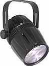 Click to view Chauvet data